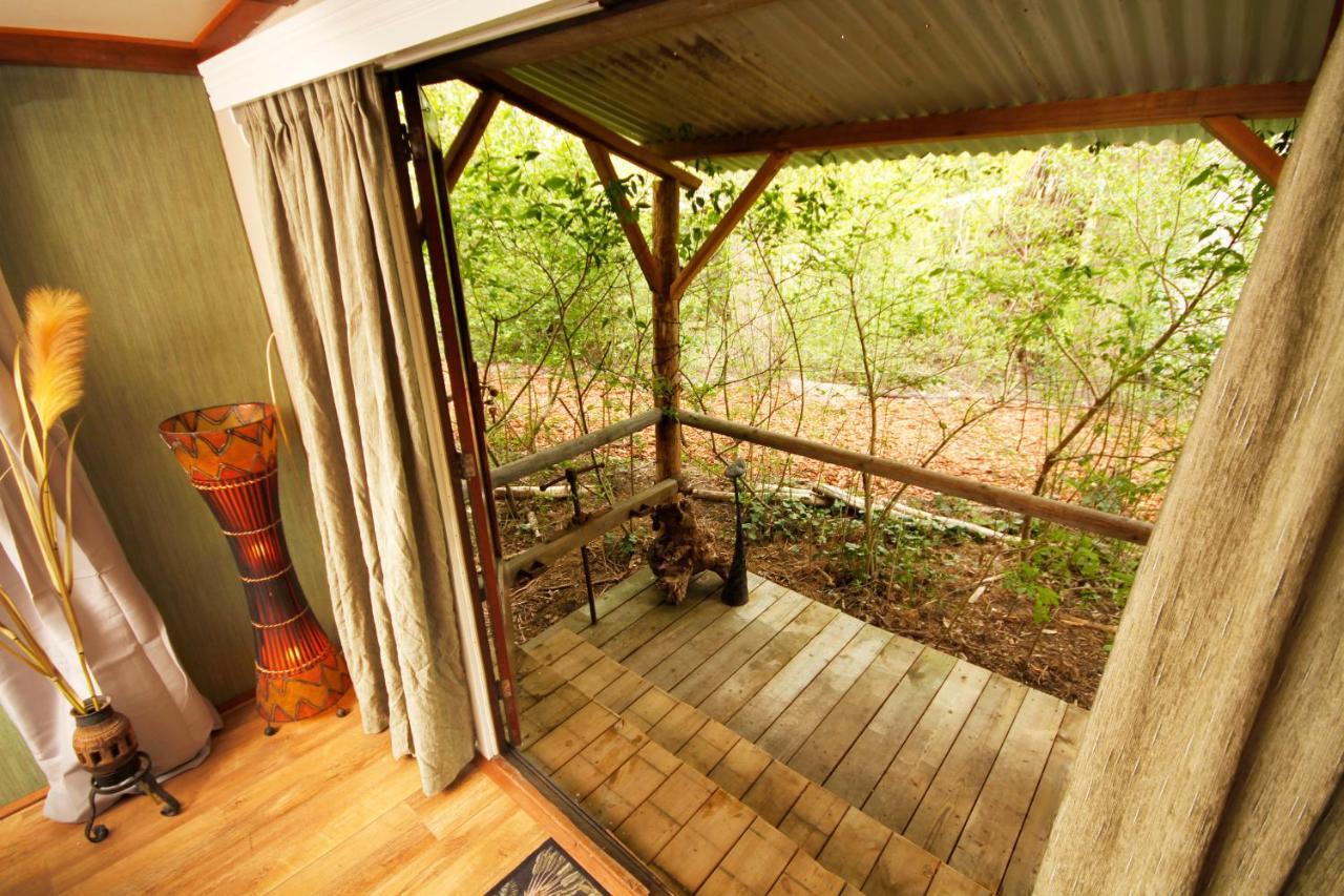 Bamboo Lodge Groningen Zewnętrze zdjęcie