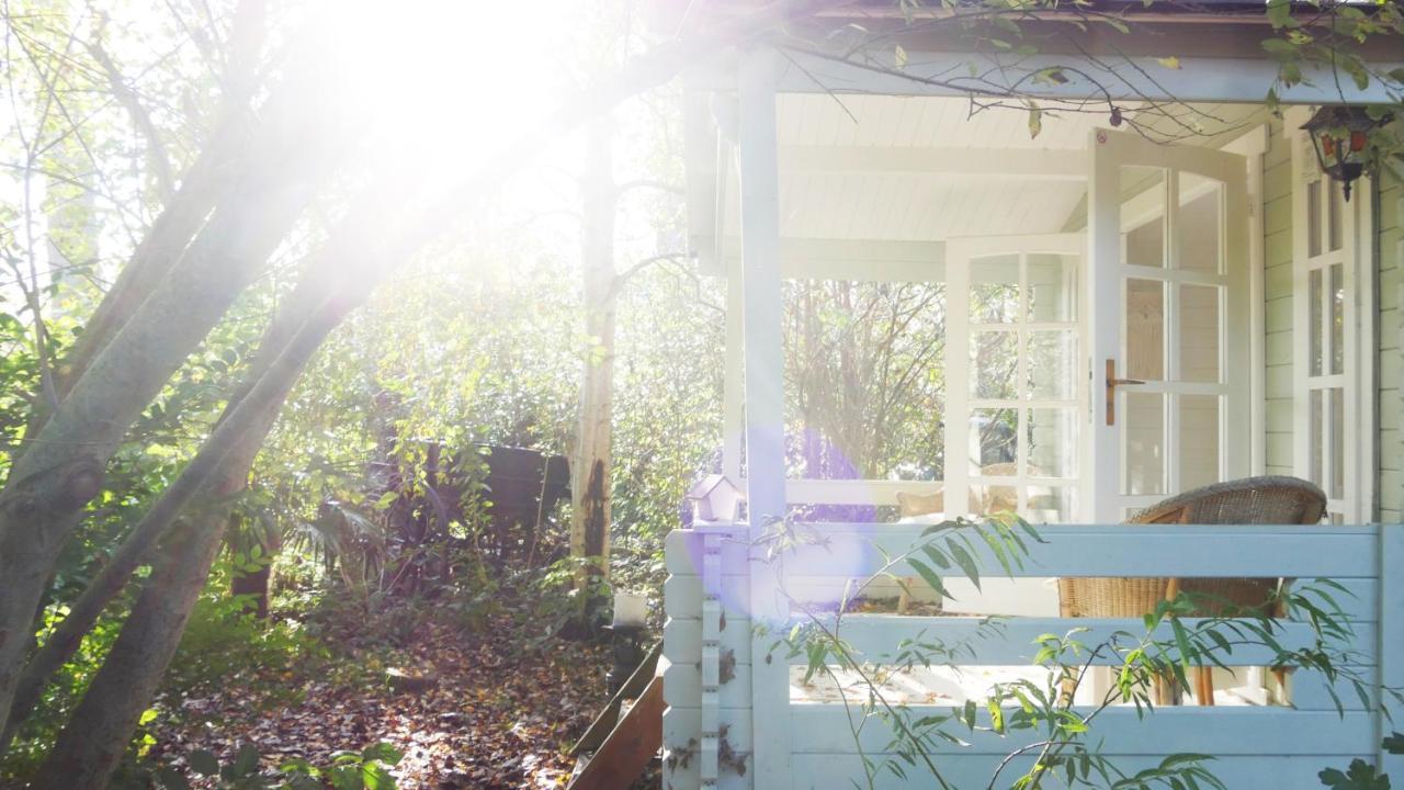Bamboo Lodge Groningen Zewnętrze zdjęcie