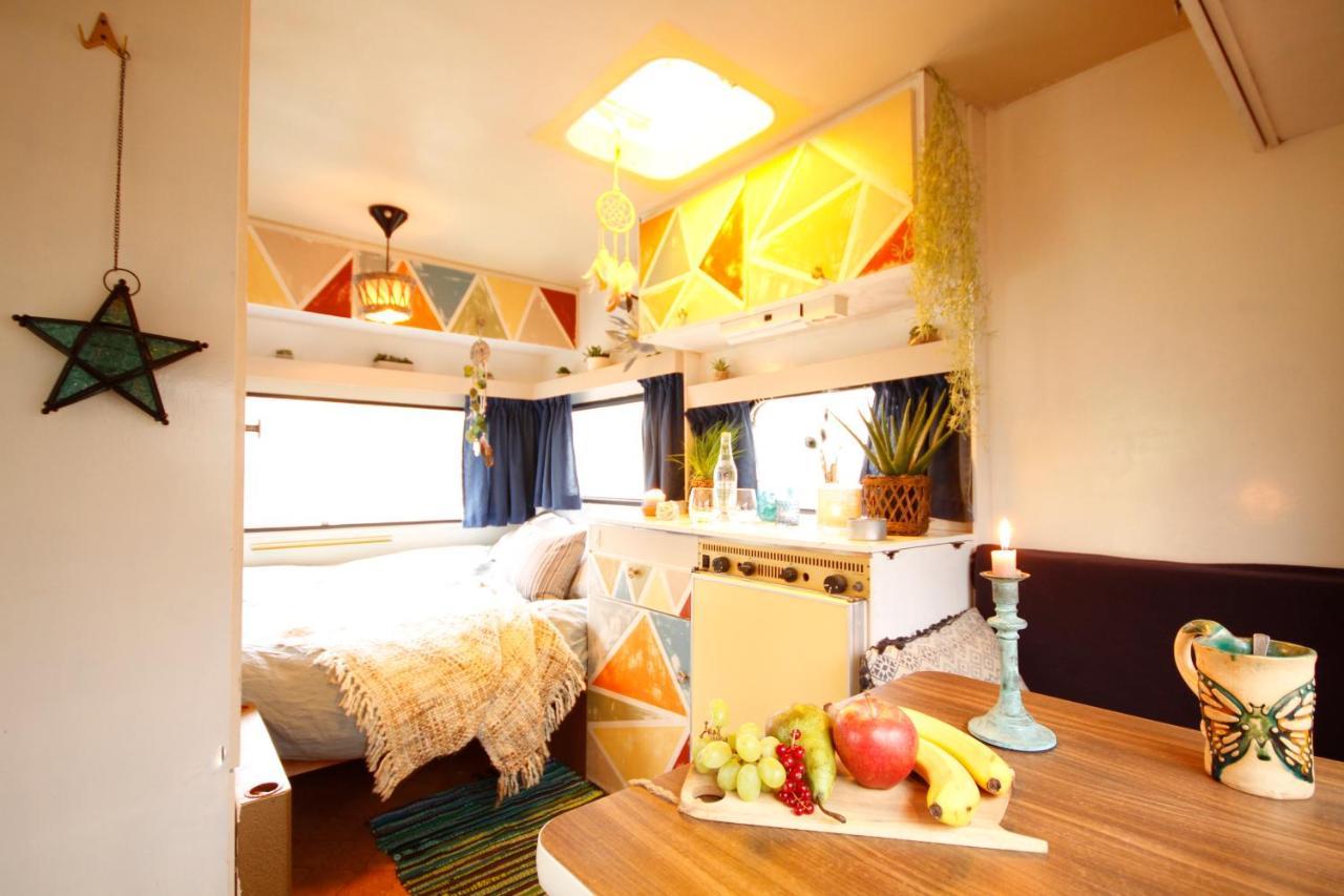 Bamboo Lodge Groningen Zewnętrze zdjęcie
