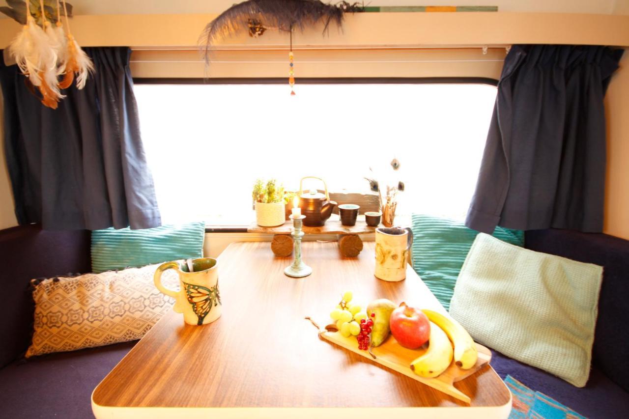 Bamboo Lodge Groningen Zewnętrze zdjęcie
