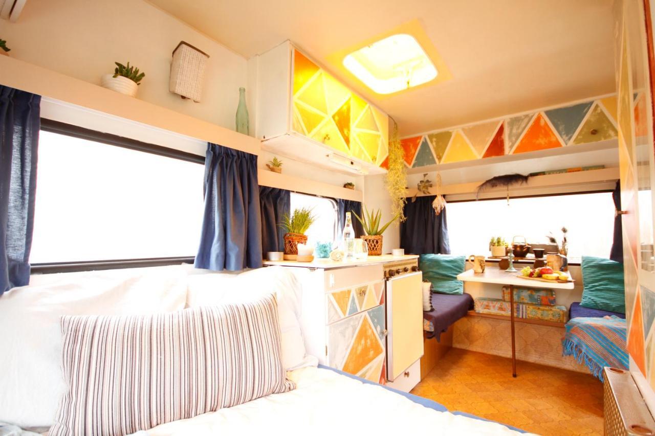 Bamboo Lodge Groningen Zewnętrze zdjęcie