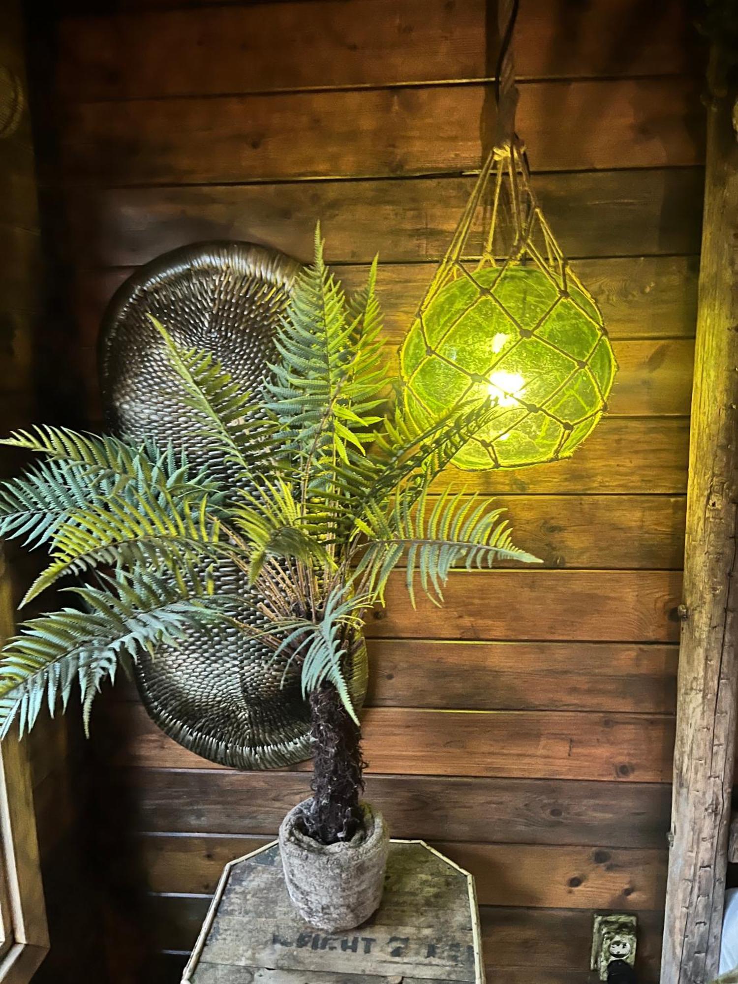 Bamboo Lodge Groningen Zewnętrze zdjęcie
